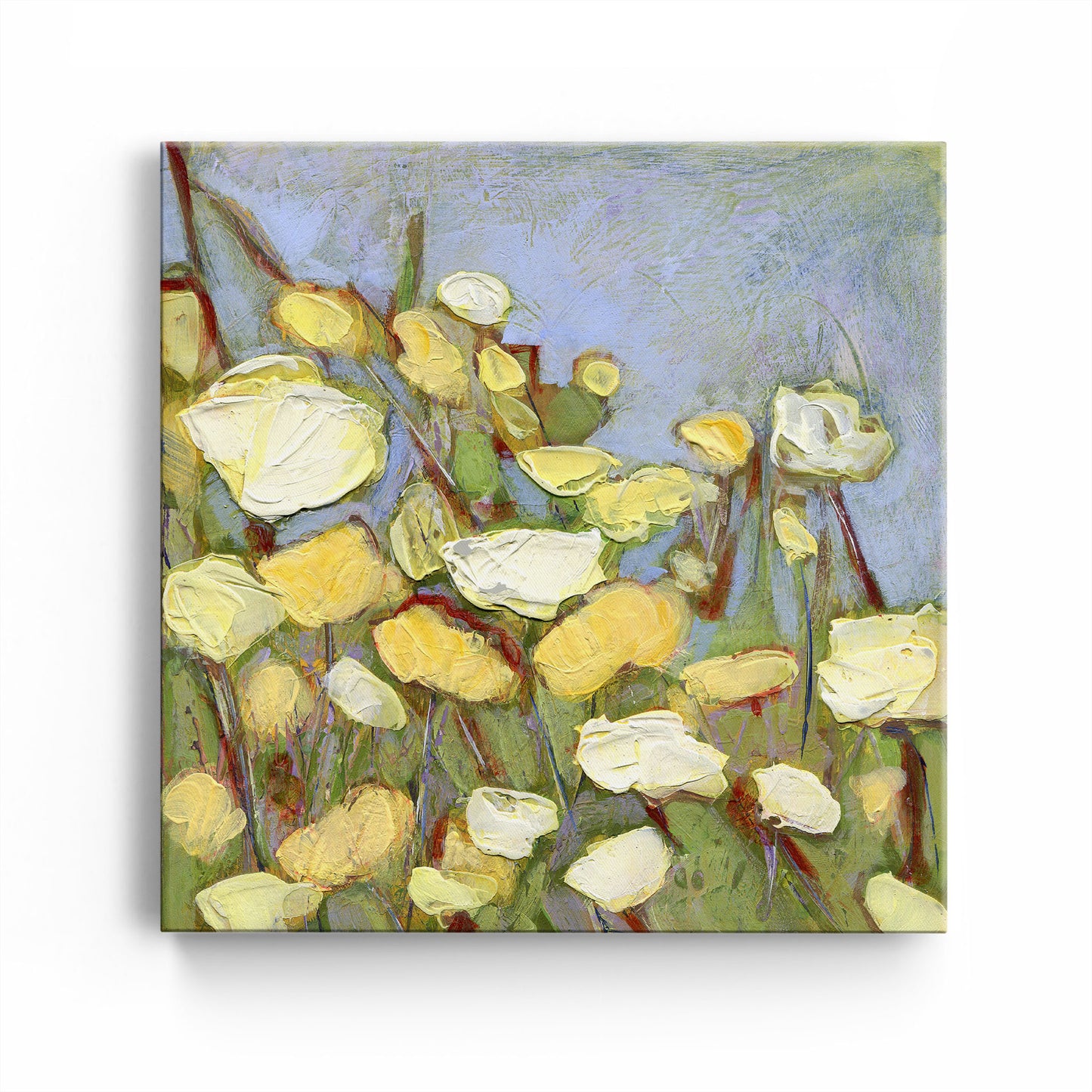 Soft Yellow Poppies - Fine Art Print